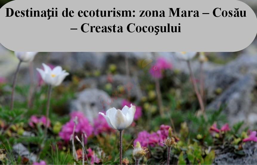 Zărneşti şi Mara-Cosău-Creasta Cocoșului din Maramureș sunt primele destinaţii ecoturistice din România