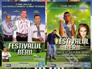 Festivalul Berii 2016