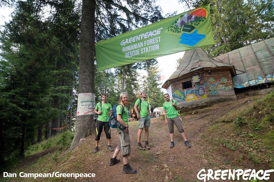 Greenpeace organizează o tabără pentru protejarea pădurilor virgine din România