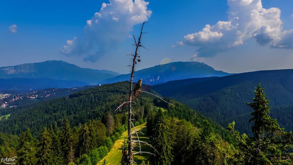 Cel mai mare proiect de remarcare trasee montane din România