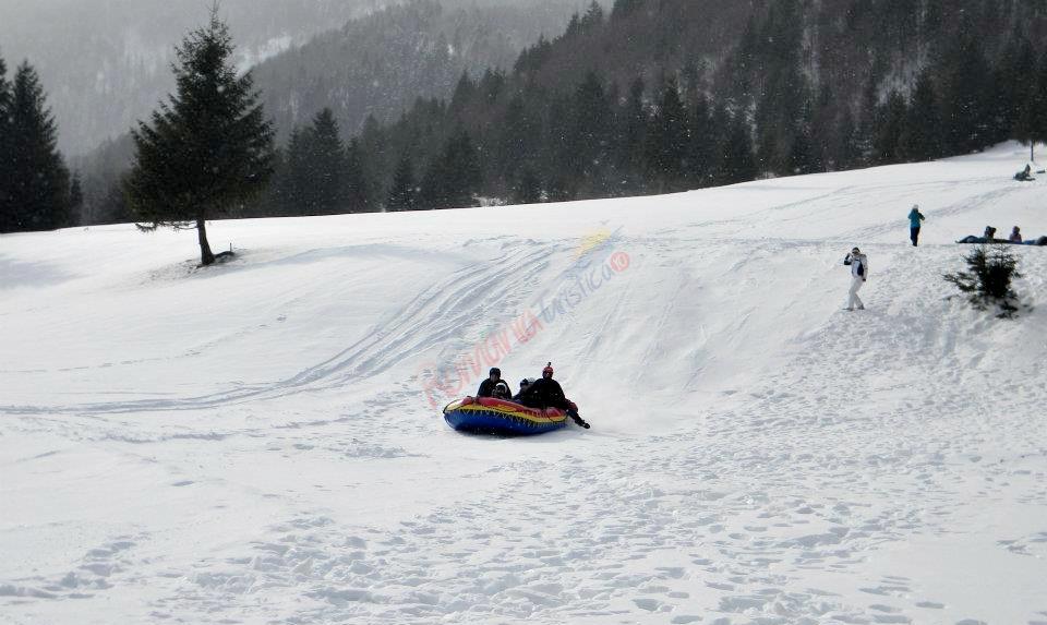 Ce sporturi de iarnă poţi practica în România?