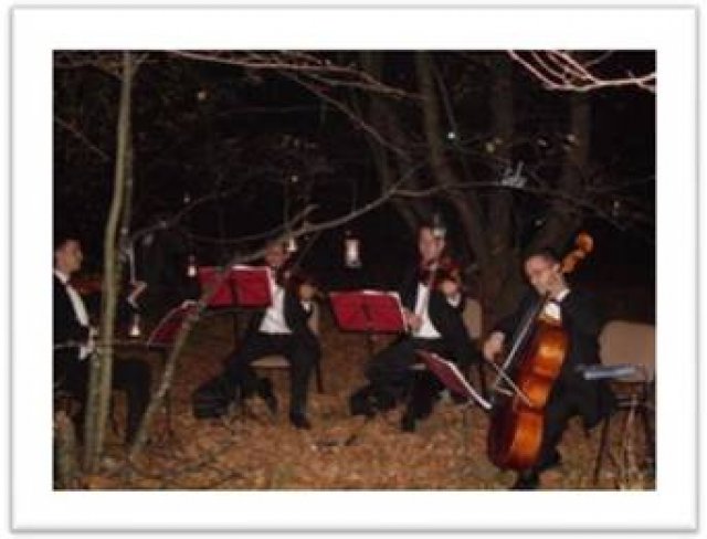 Concert de muzică simfonică pe Valea Vaserului