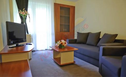 administrator-2014-11-18-183455-apartament-hotel-bradul-vatra-dornei