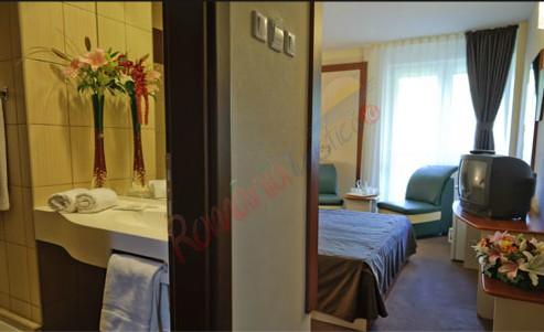 agentie-2014-11-18-214426-panorama-hotel-dorna