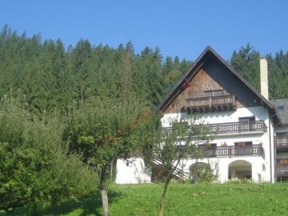 Oferta la Munte 2017 – Pensiunea Bucovina Lodge Vama