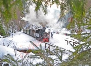 administrator-2016-11-22-010007-craciun-pe-valea-vaserului