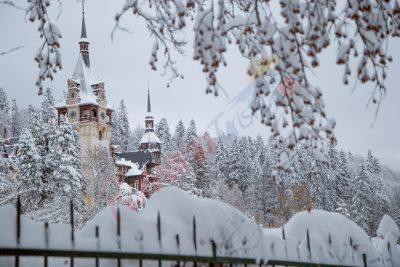 Craciun de Poveste 2024 –  Hotel Palace Sinaia