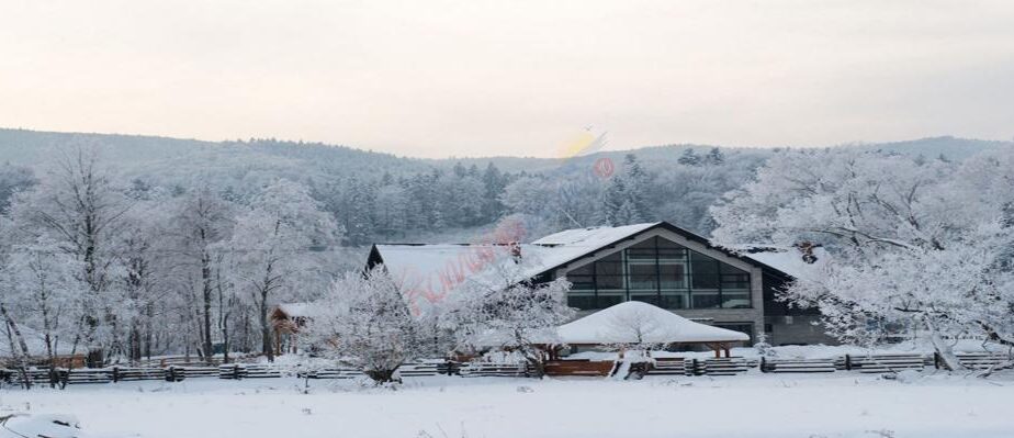 Craciun 2024 in Bucovina – ”Piriu Morii”  Manastirea Humorului