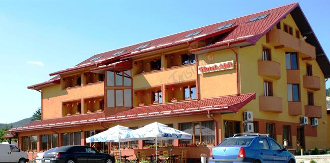 Revelion 2025 in Bucovina – Hotel Aldi Gura Humorului