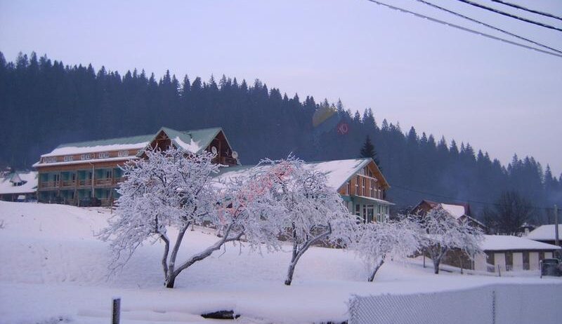 Craciun 2024 in Bucovina – Pensiunea Casa Lina Sucevita