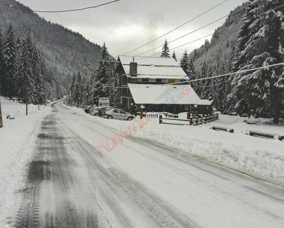 Craciun 2024 Transfagarasan – Conacul Ursului Arefu