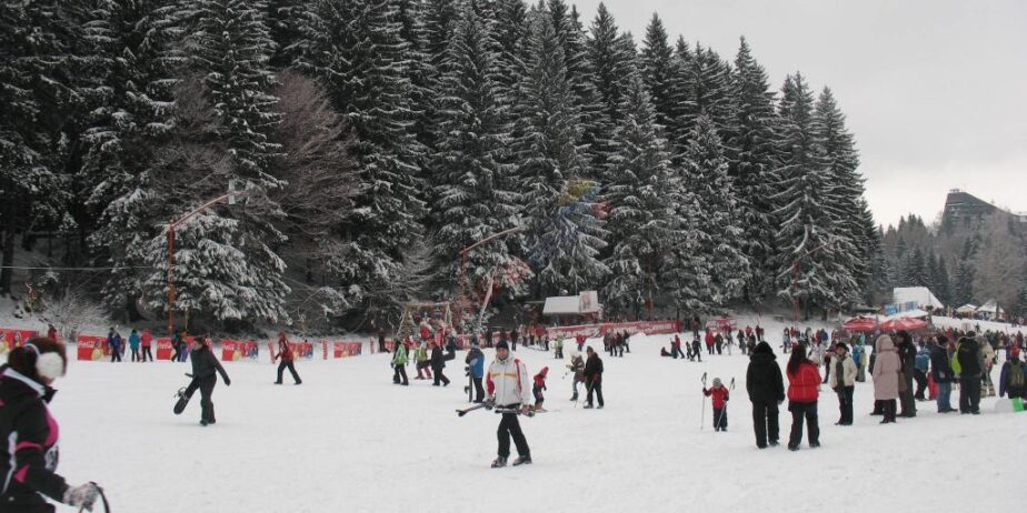 Tabara de Schi la Poiana Brasov 2025