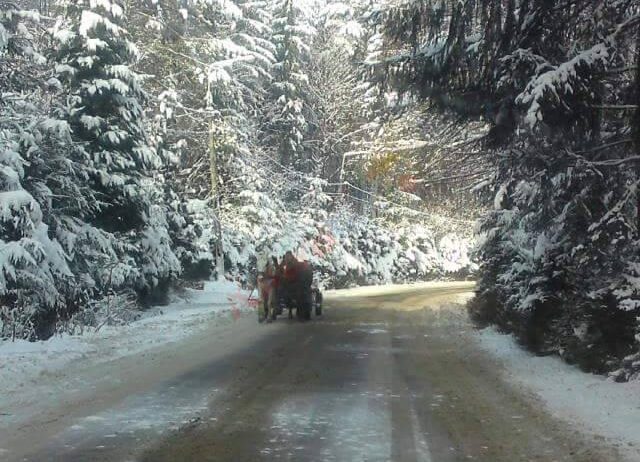 Craciun 2024 in Maramures – Pensiunea Caprioara  Firiza