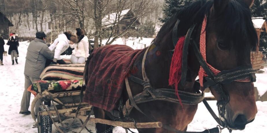 Craciun 2024 in Maramures – Targu Lapus