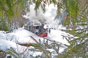 Mocanita de Anul Nou in Maramures  2025