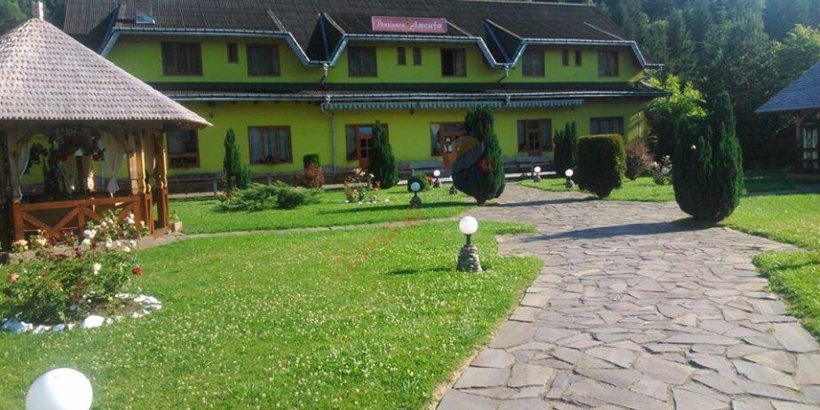 Craciun Traditional  in Maramures, Borsa