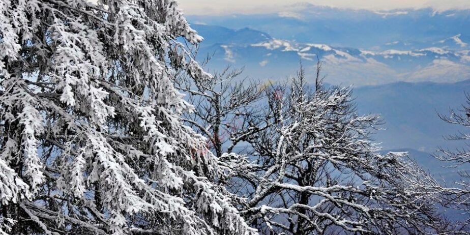 Revelion 2025 in Maramures – Gradina Morii  Sighetu Marmatiei