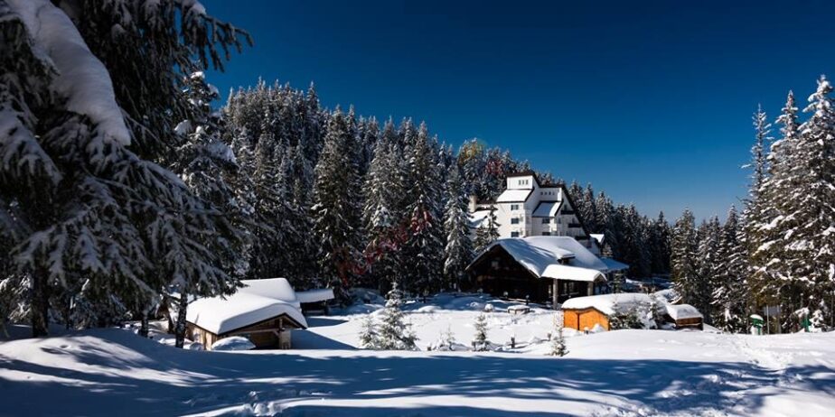 Revelion 2025 in  Bucovina – Pe Culmile Raraului