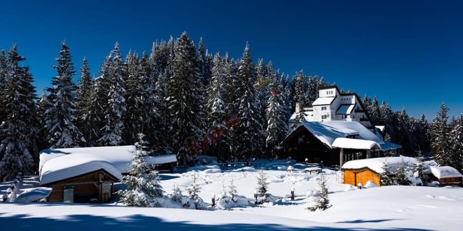 Revelion 2025 in  Bucovina – Pe Culmile Raraului