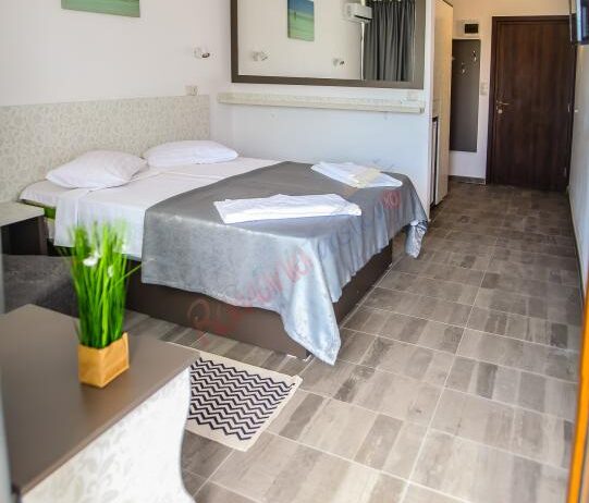 Oferta Litoral 2024 – Hotel Carmen  Venus