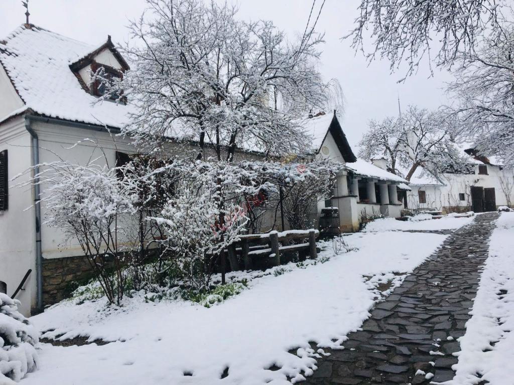 Revelion 2025 nobiliar la Castelul Kalnoky din Miclosoara