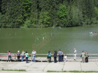 agentie-2014-06-17-121054-lacul-rosu-3157