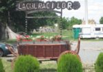 Oferta Litoral 2024 – Hotel Lacul Racilor Olimp