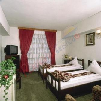 Oferta Decada Balneara 2024 – Hotel Domogled Baile Herculane