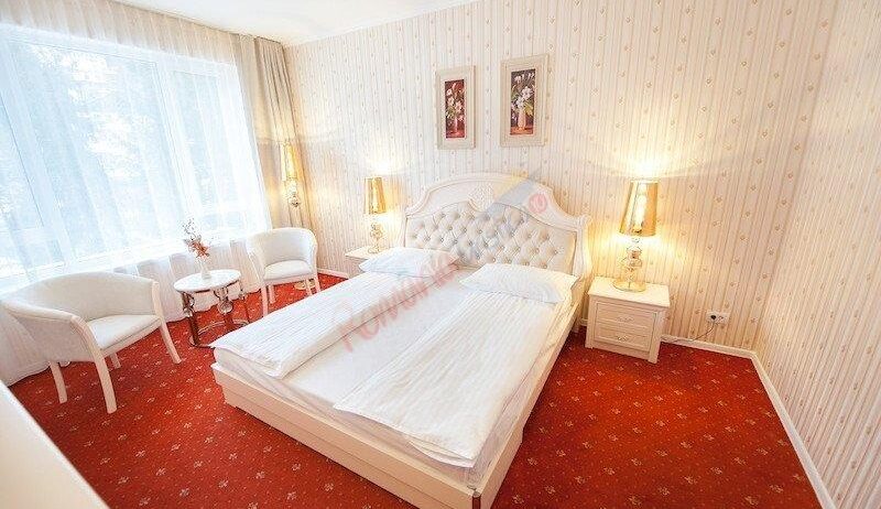 Oferta la Munte 2024 – Hotel Carpathia Sinaia