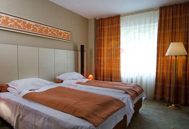 Oferta la Munte 2024 – Hotel Rina Sinaia