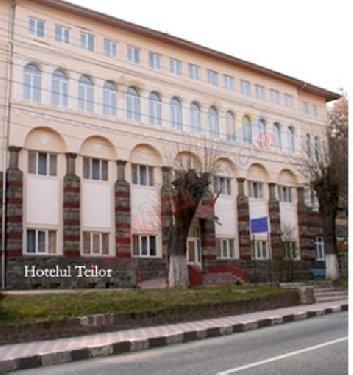 Oferta Balneo 2024 – Hotel Teilor Calimanesti