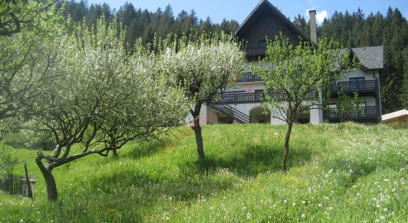 Oferta la Munte 2024 – Pensiunea Bucovina Lodge Vama