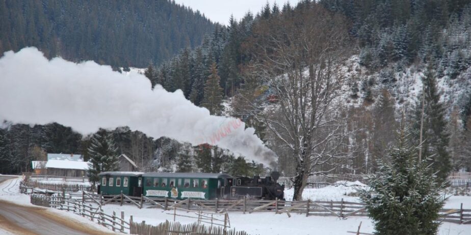 Revelion in Bucovina  cu Mocanita  Hutulca  Moldovita