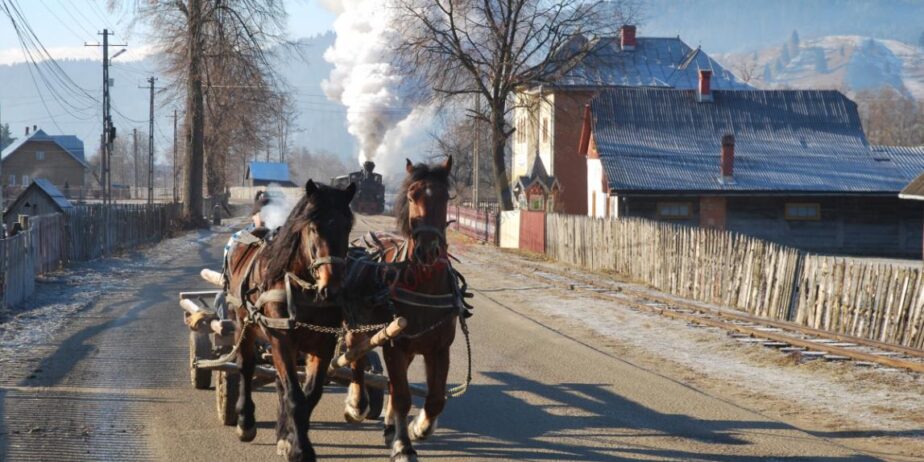 Revelion in Bucovina  cu Mocanita  Hutulca  Moldovita