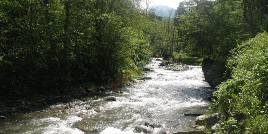 Tabara de vara la Sambata de Sus