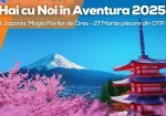 Trăiește magia florilor de cireș în Japonia