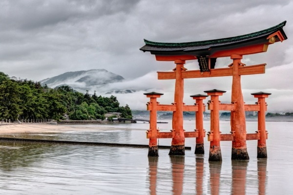 Trăiește magia florilor de cireș în Japonia