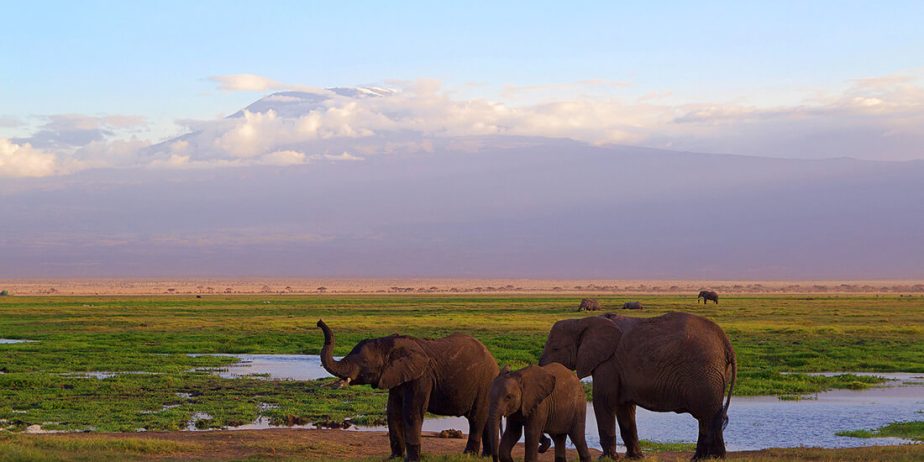 Circuit Africa de Sud și Safari în Parcul Kruger