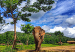 Circuit Thailanda de Nord – Regatul Lanna