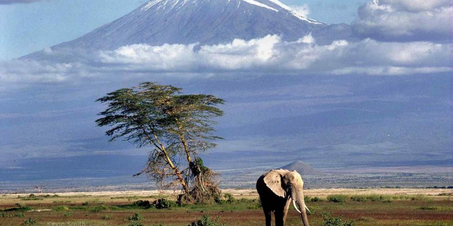 Tanzania-Paradisul animalelor sălbatice
