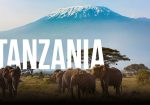 Tanzania-Paradisul animalelor sălbatice