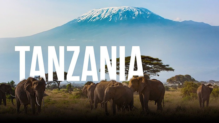 Tanzania-Paradisul animalelor sălbatice