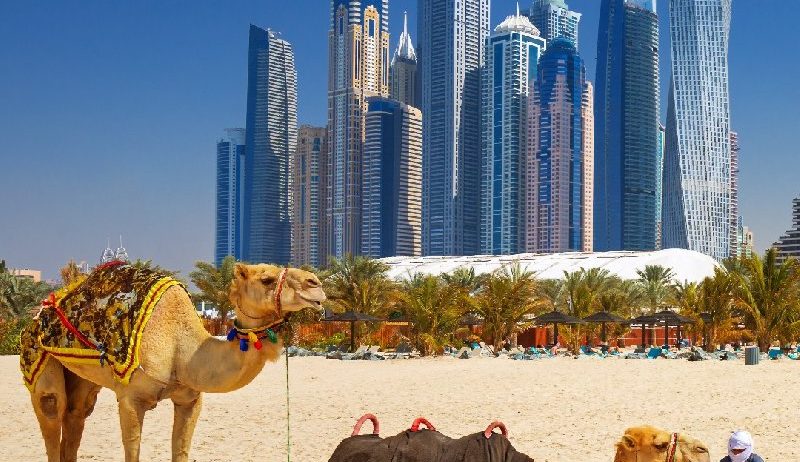 City Break Dubai
