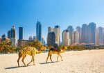 City Break Dubai