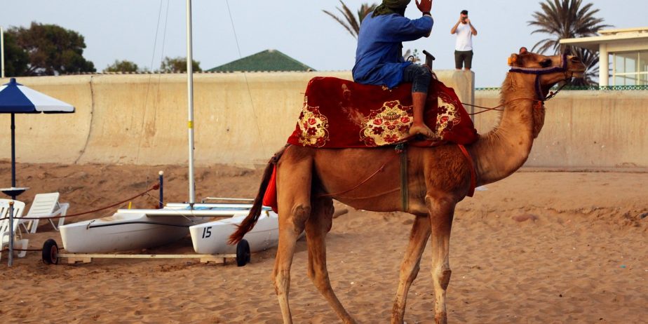 Circuit Maroc – Marrakech