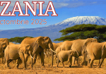 Tanzania-Paradisul animalelor sălbatice