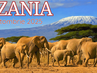 tanzania
