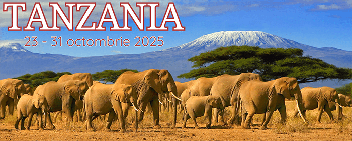 Tanzania-Paradisul animalelor sălbatice