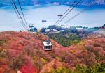 Circuit Japonia & Coreea de Sud: – O călătorie de suflet