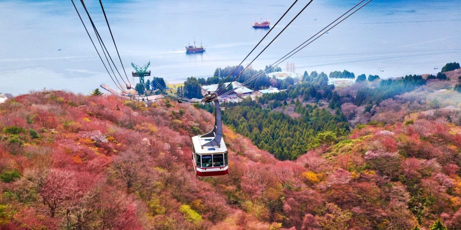 Circuit Japonia & Coreea de Sud: – O călătorie de suflet